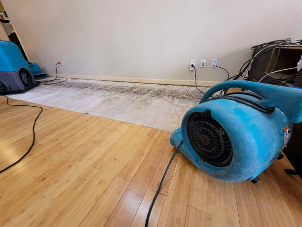 Professional Structural Drying technician working in Akron, IN